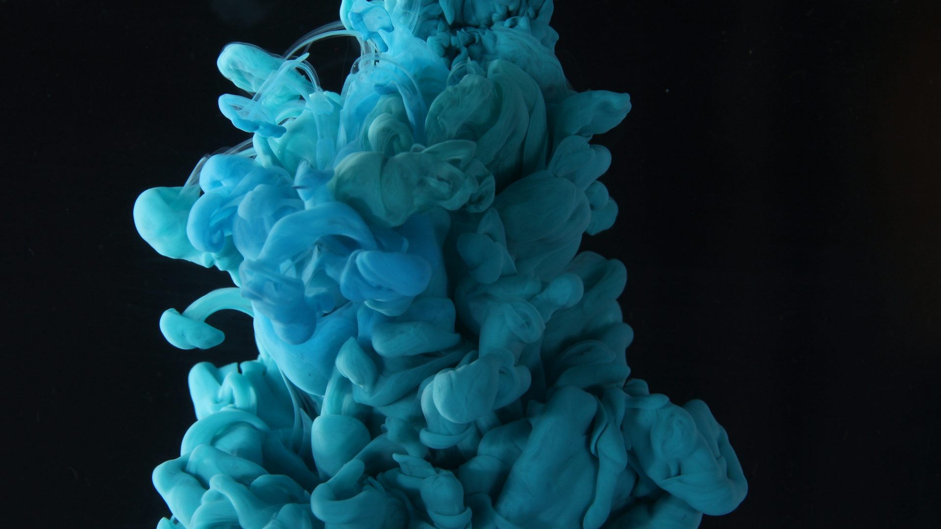 Formulation architecture, navy study